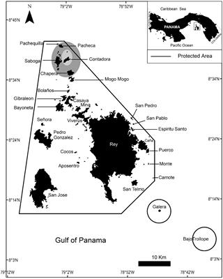 Impacts of Whale Watching on the Behavior of Humpback Whales (Megaptera novaeangliae) in the Coast of Panama